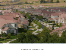 Tablet Screenshot of northstarsynergies.com